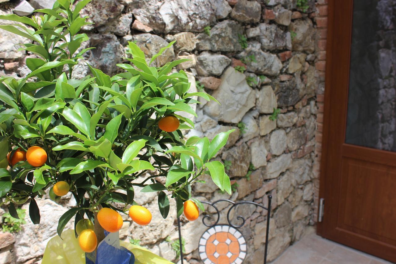 B&B Canneto Monteverdi Marittimo Dış mekan fotoğraf