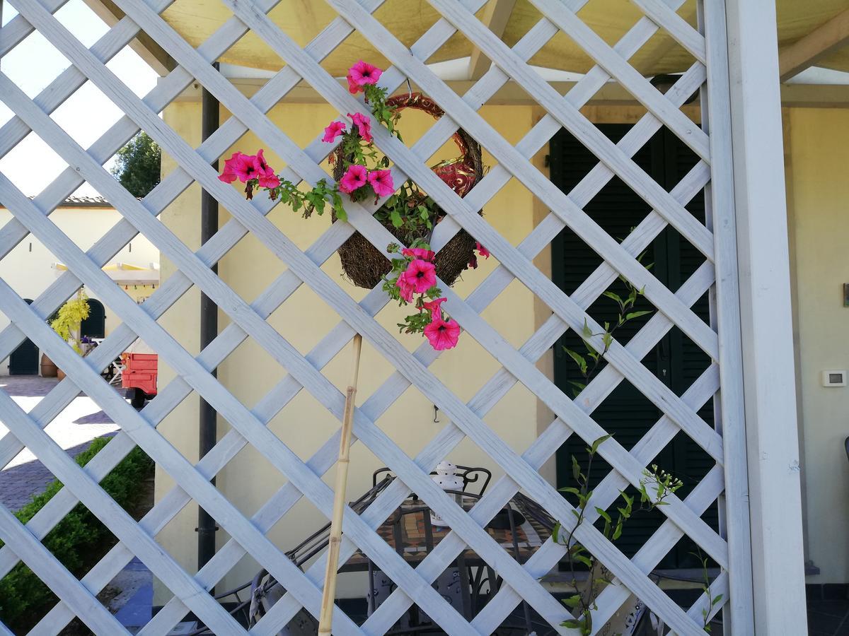 B&B Canneto Monteverdi Marittimo Dış mekan fotoğraf